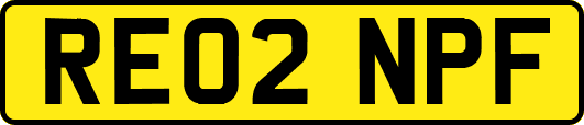 RE02NPF