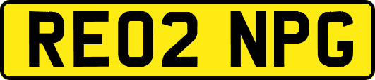 RE02NPG