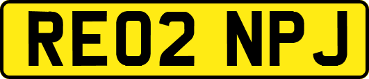 RE02NPJ