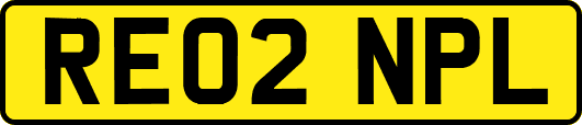RE02NPL