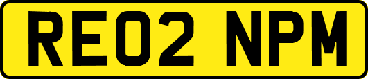 RE02NPM