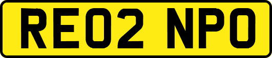 RE02NPO