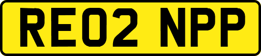 RE02NPP