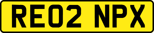 RE02NPX