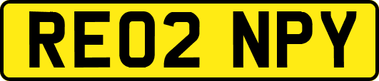 RE02NPY