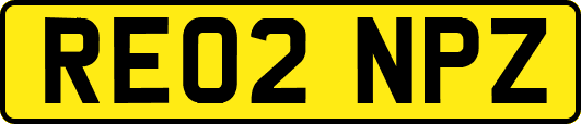 RE02NPZ