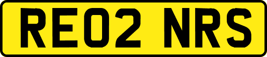 RE02NRS