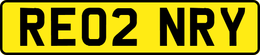 RE02NRY