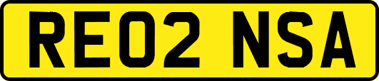 RE02NSA