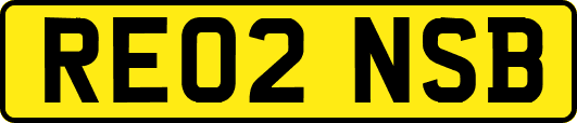 RE02NSB