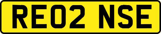 RE02NSE