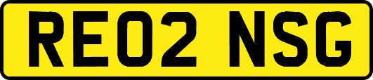 RE02NSG