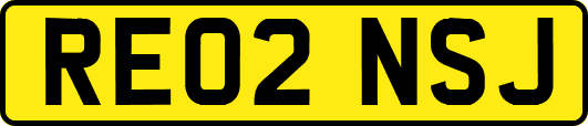 RE02NSJ