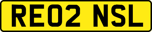 RE02NSL
