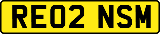 RE02NSM