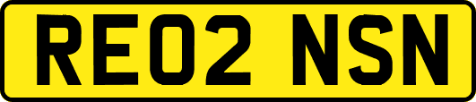 RE02NSN
