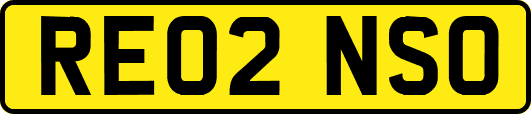 RE02NSO
