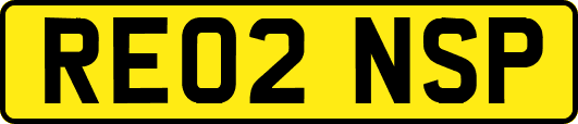 RE02NSP