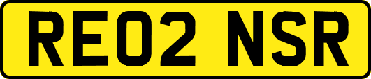 RE02NSR