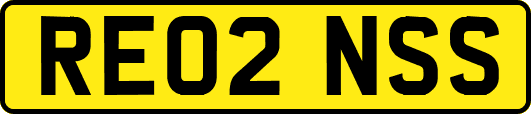 RE02NSS