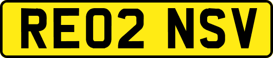RE02NSV