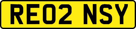 RE02NSY