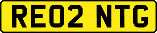 RE02NTG