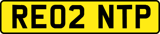RE02NTP
