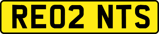 RE02NTS