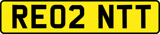 RE02NTT