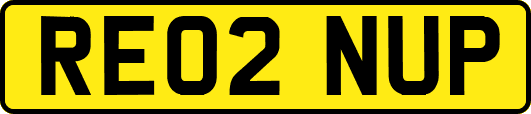 RE02NUP