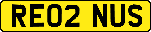 RE02NUS