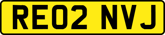 RE02NVJ