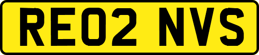 RE02NVS