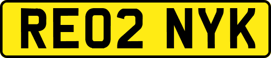 RE02NYK