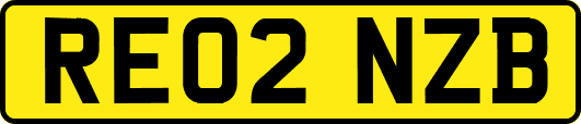 RE02NZB