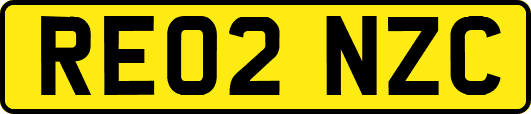 RE02NZC