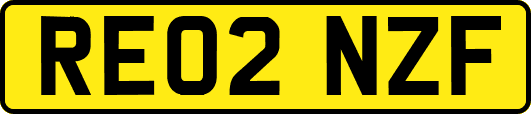 RE02NZF