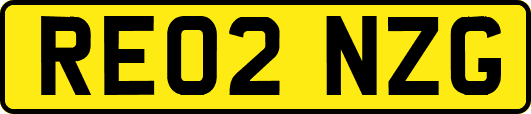 RE02NZG