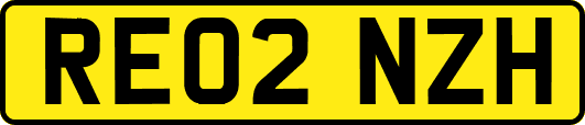 RE02NZH