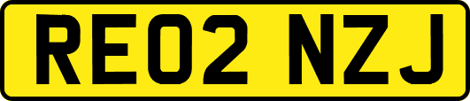 RE02NZJ