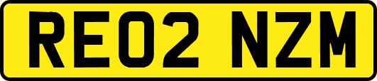 RE02NZM
