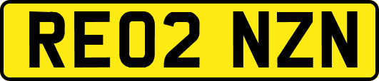 RE02NZN