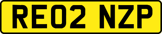 RE02NZP
