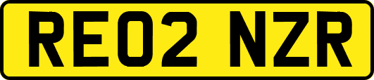 RE02NZR