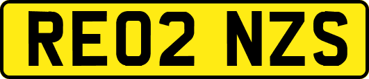 RE02NZS