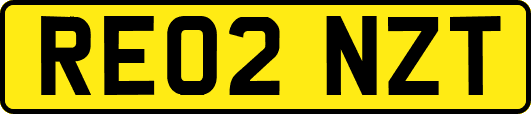 RE02NZT