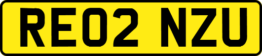 RE02NZU