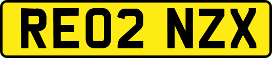 RE02NZX