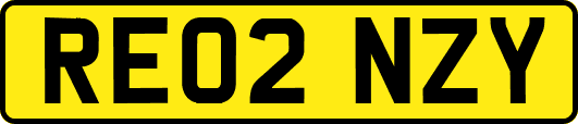 RE02NZY